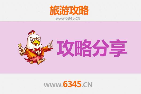 普洱西盟至湄洲岛旅游攻略：跟团还是自由行？资深博主深度解析